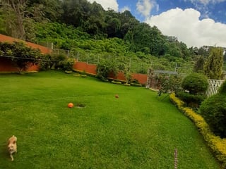 Casa en renta, en Carretera al salvador - 3
