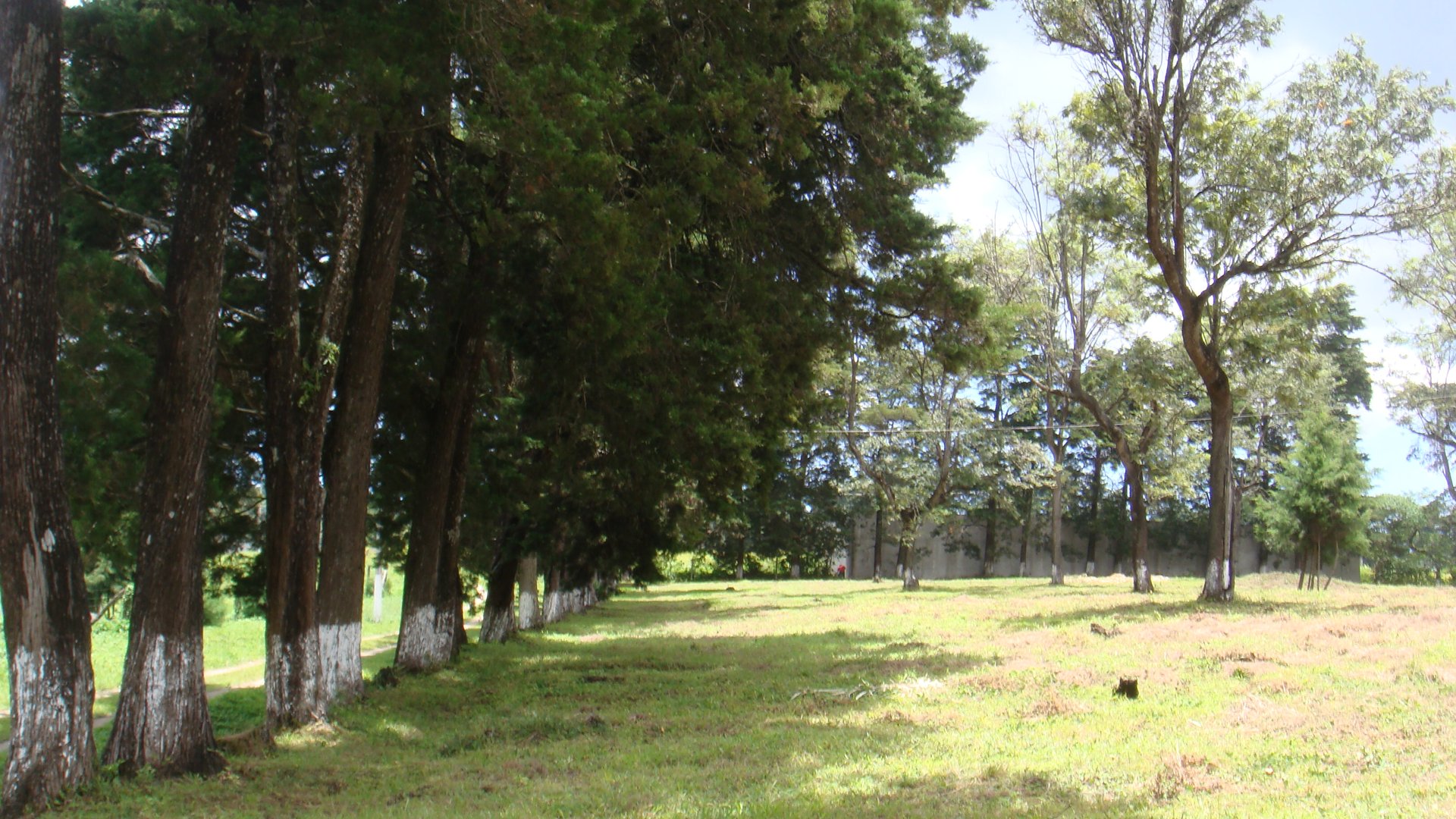VENDO TERRENO URBANIZADO  EN KM. 30.2 CARRETERA A SANTA ELENA BARILLAS - Miniatura 3