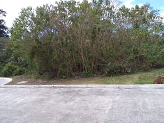 Terreno en VENTA en Casa y Campo Carretera a El Salvador km 23.5 - Image 2