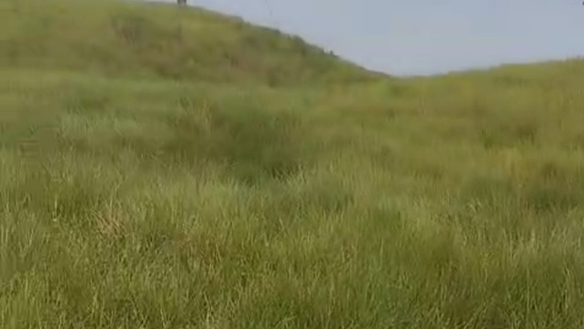 Finca en Puerto Barrios Izabal