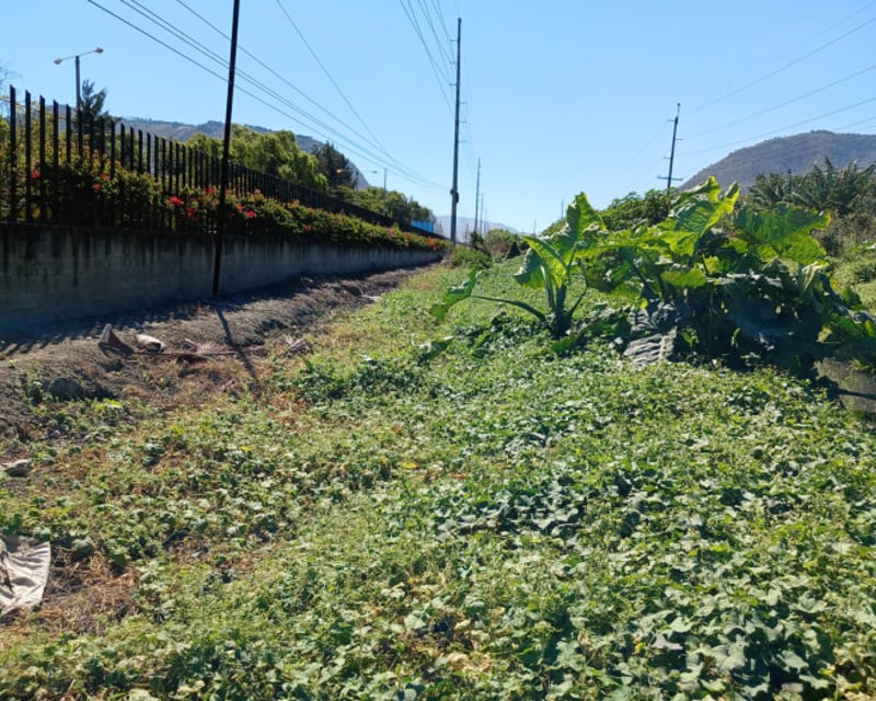 Terreno en Venta en Amatitlán