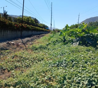 Terreno en Venta en Amatitlán