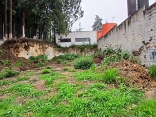 Terreno en Renta sobre Boulevard San Cristóbal Mixco - Image 8