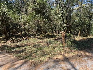 Lote en Venta RioSul, Escuintla, Guatemala - 5