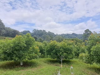 Terreno 1 manzana en venta en Santiago Sacatepequez - 2