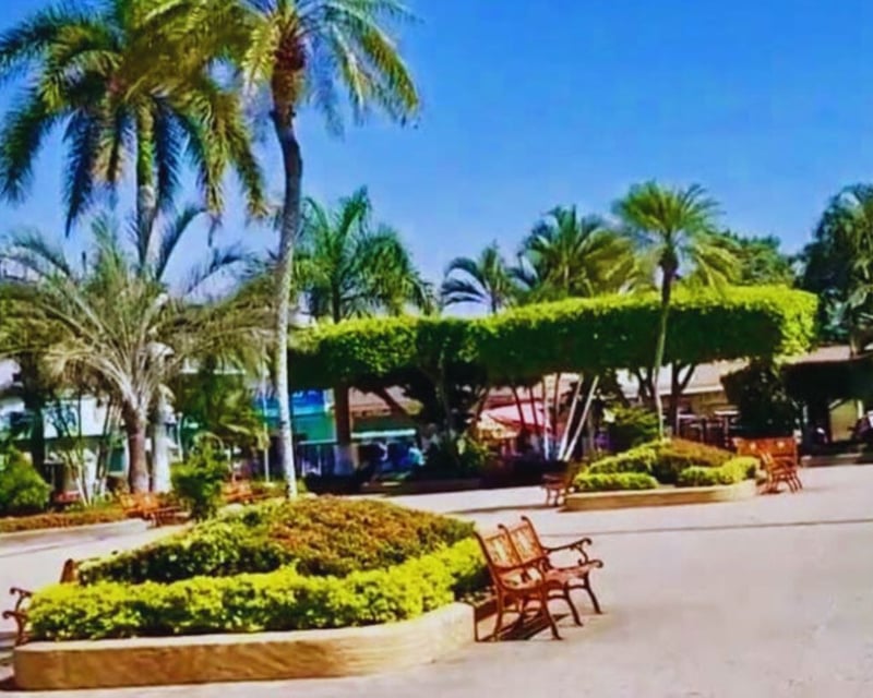 TERRENO  PLANO EN RENTA EN TECUN HUMAN, SAN MARCOS