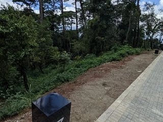 VENTA DE TERRENO PREMIUM LUCENTA DENTRO DE LEGADO DEL BOSQUE - 5