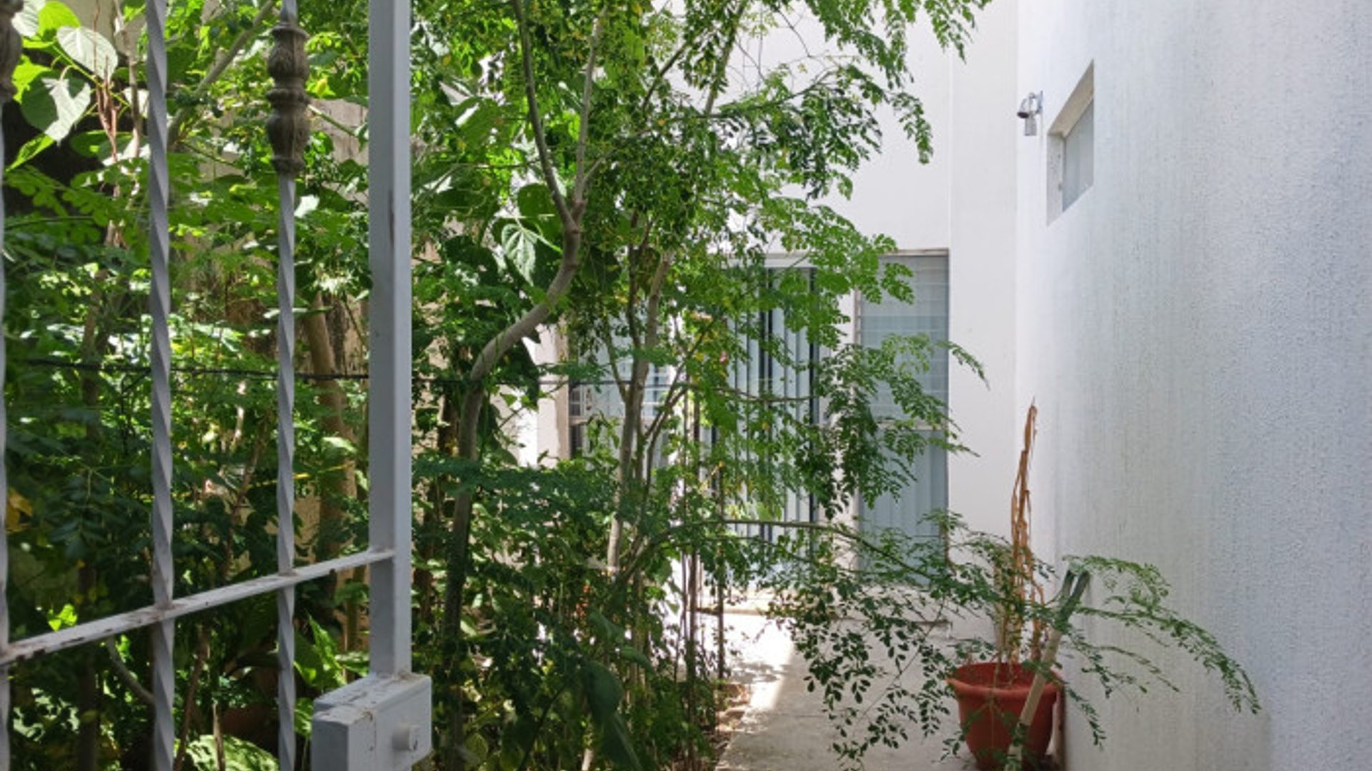 Vendo Edificio de Apartamentos en zona 2, - Miniatura 11