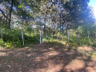 Terreno en Venta 1 manzana en El Encinal, Zona 7 ref-6135 - 3