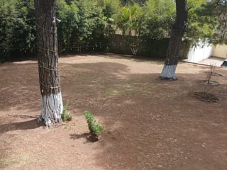 Casa en Residencial San Jorge Yumar Zona 6 de Mixco - 4