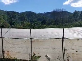 Terreno en venta en Tactic, Alta Verapaz - 4