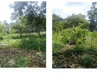 Venta de granja, Palín  - 2