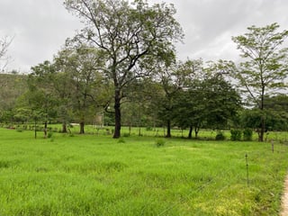 FINCA EN SANTA ROSA - 5