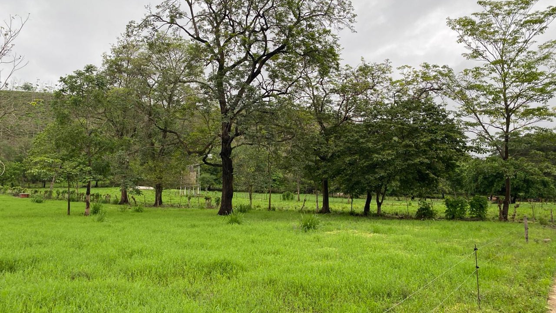 FINCA EN SANTA ROSA - Miniatura 5