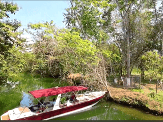 TERRENO EN VENTA EN RIO DULCE - Image 6