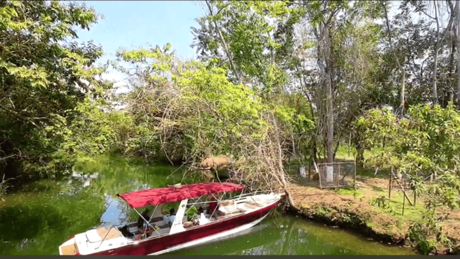 TERRENO EN VENTA EN RIO DULCE - Miniatura 6