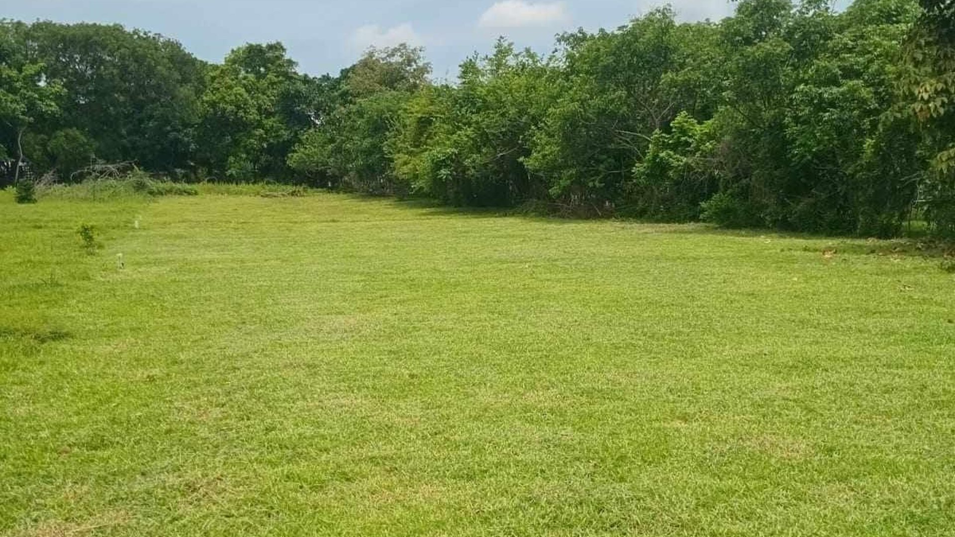 Terreno en venta Caballo Blanco Retalhuleu 9.68 manzanas - Miniatura 4