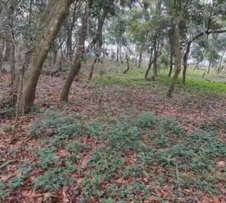 TERRENO EN VENTA EN EL KM 26.5 CARRETERA A SANTA ELENA BARILLAS