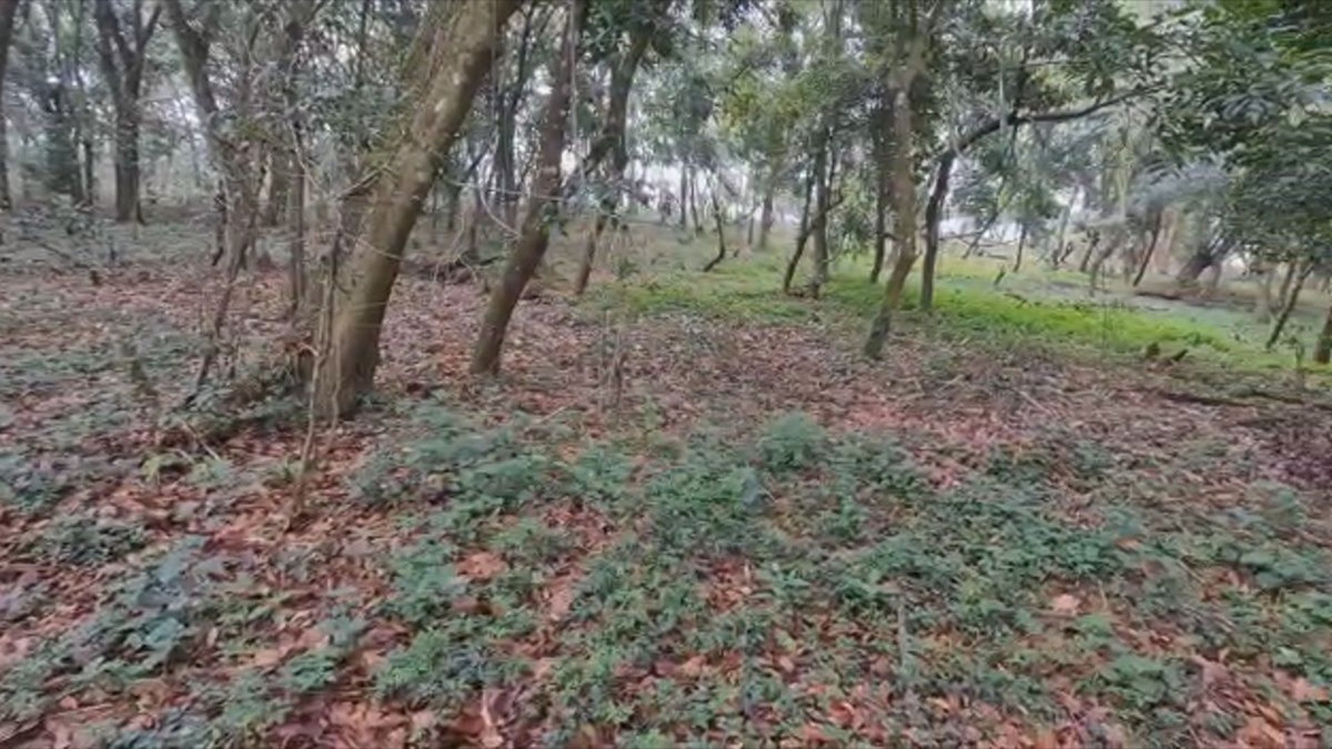 TERRENO EN VENTA EN EL KM 26.5 CARRETERA A SANTA ELENA BARILLAS
