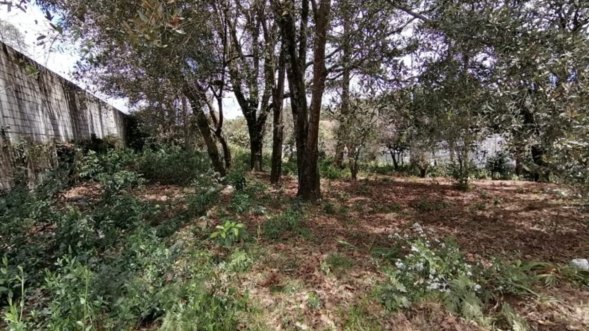 Finca en venta en San Lucas Sacatepéquez - Miniatura 12