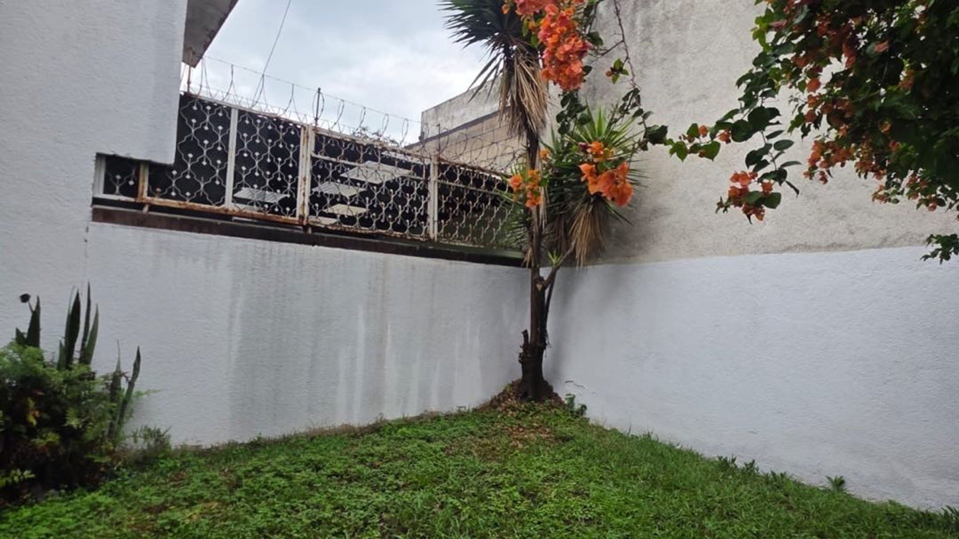 *Alquiler de casa ideal para oficina en Zona 11* - Miniatura 5