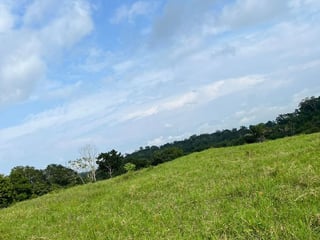 Finca en Venta – San José, Petén - 2