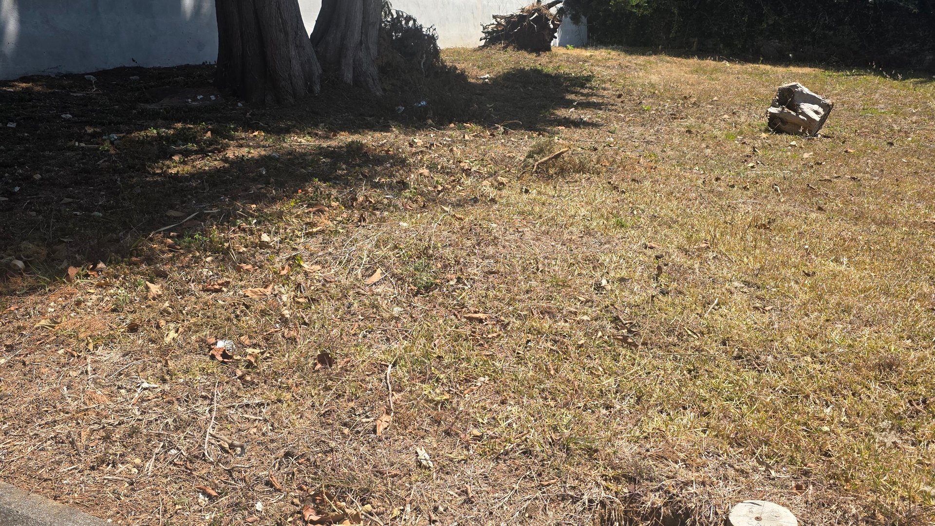 EXCELENTE OPORTUNIDAD TERRENO URBANIZADO DENTRO DE GARITA - Image 1