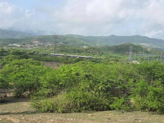 22 Manzanas en venta en El Rancho, El Progreso  - 4