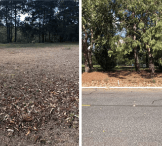 Terreno en venta, en Carretera al salvador