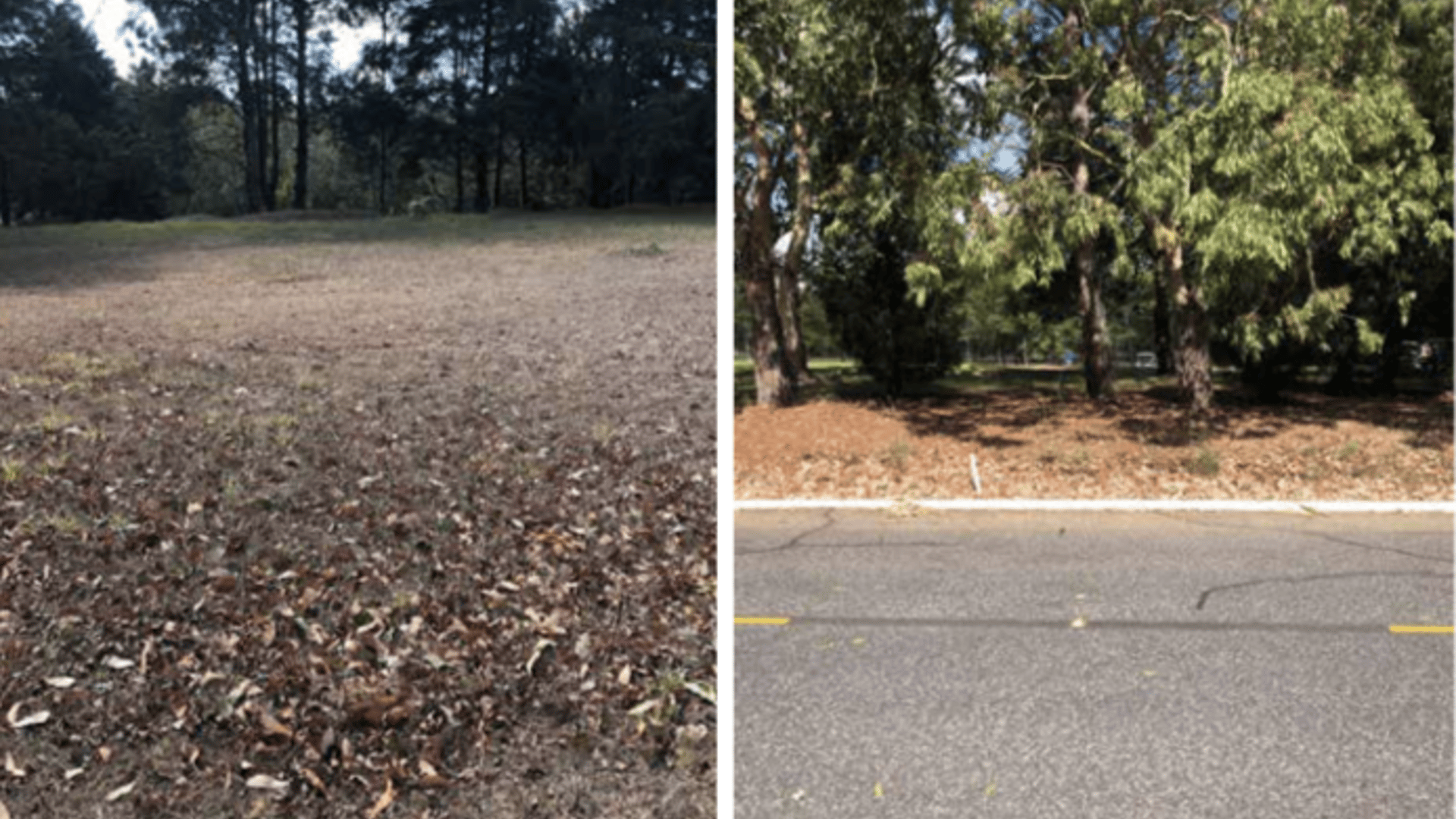 Terreno en venta, en Carretera al salvador