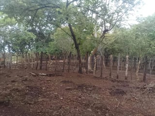 Finca en venta en Oratorio Santa Rosa, Jutiapa  - 2