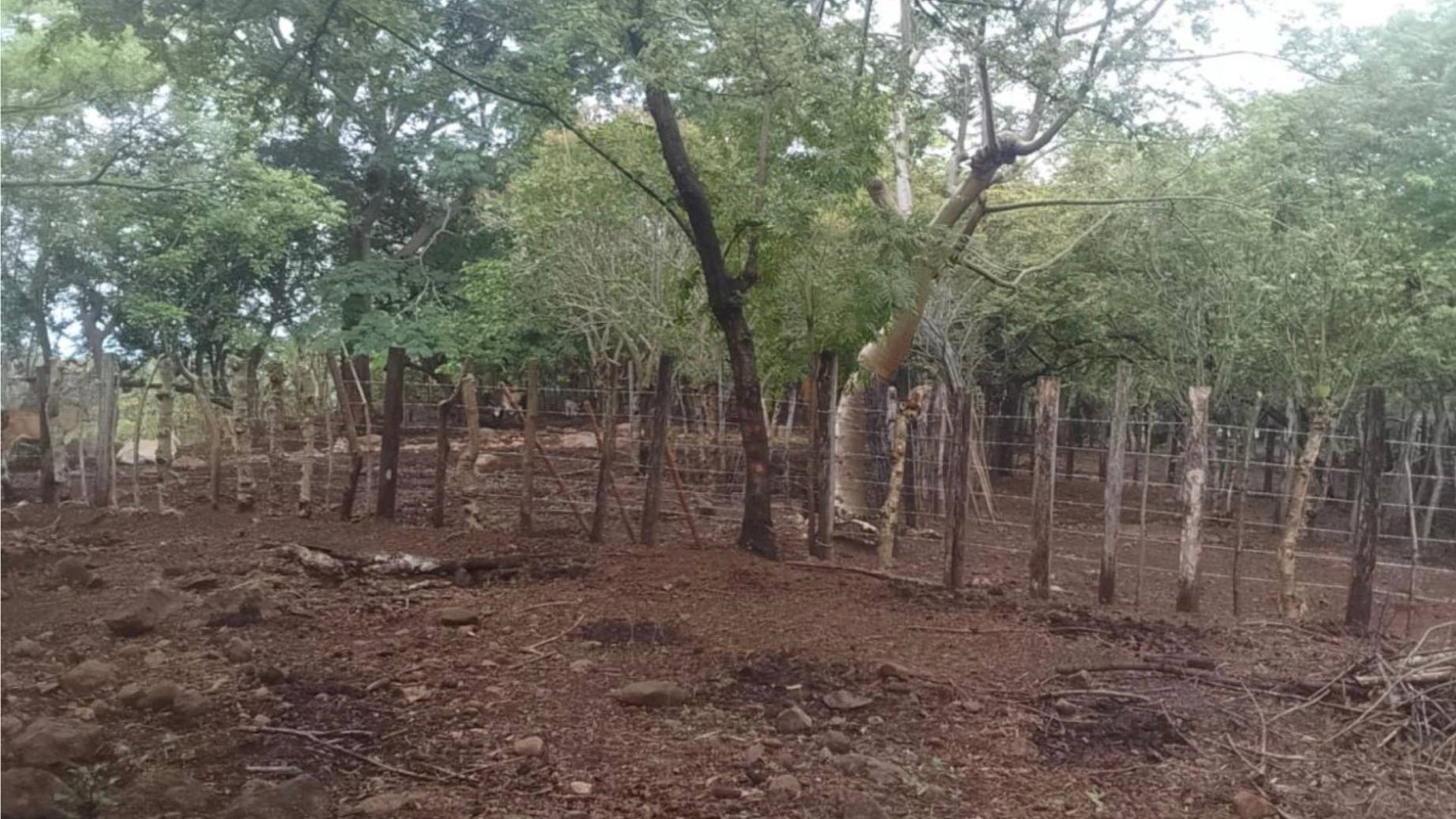 Finca en venta en Oratorio Santa Rosa, Jutiapa  - Miniatura 2