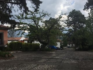 ALQUILER DE HERMOSO TOWNHOUSE - PASEO DEL OBISPO, ANTIGUA - 5
