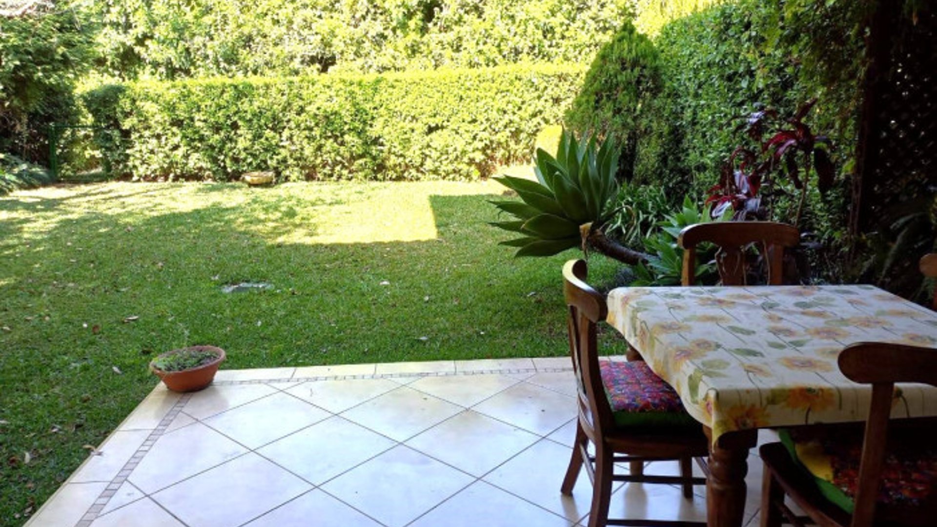 Apartamento en Venta y Alquiler - Portal del Bosque III