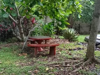 House for Sale in Escuintla, Guatemala | 2 Bed, Garden, Pool - Q.300K - Image 4