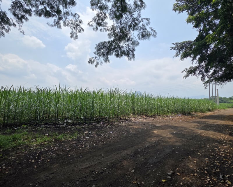 Terreno en Alquiler CA2 Carretera Escuintla- Siquinala