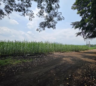 Terreno en Alquiler CA2 Carretera Escuintla- Siquinala