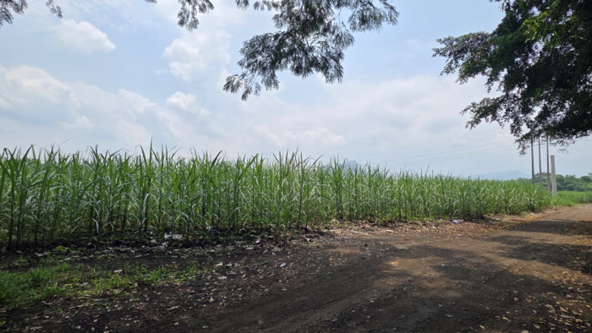 Terreno en Alquiler CA2 Carretera Escuintla- Siquinala