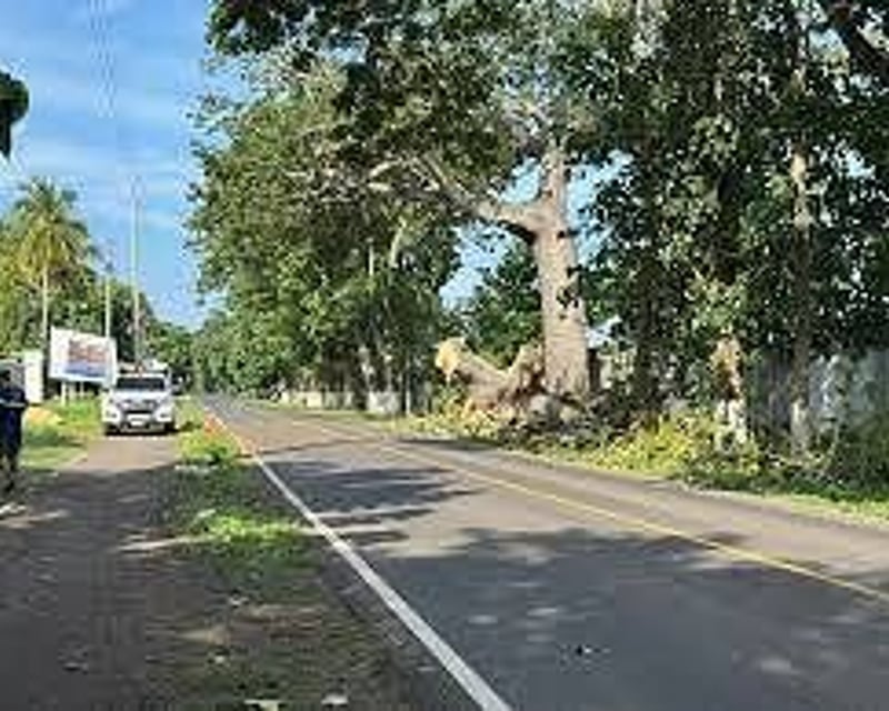 Terreno en Venta | Iztapa, Escuintla