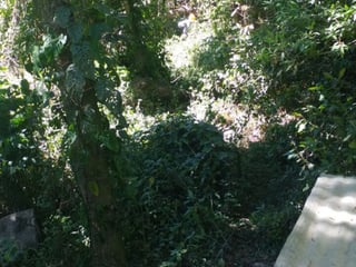 Vendo Terreno Carretera a El Salvador km 20.5 SAN GERMAN DE LA MONTANA - 3