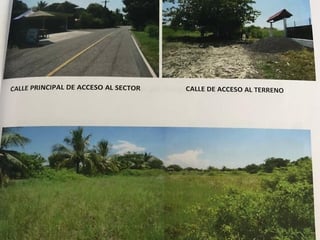 Terreno en venta camino a Monterrico - 2