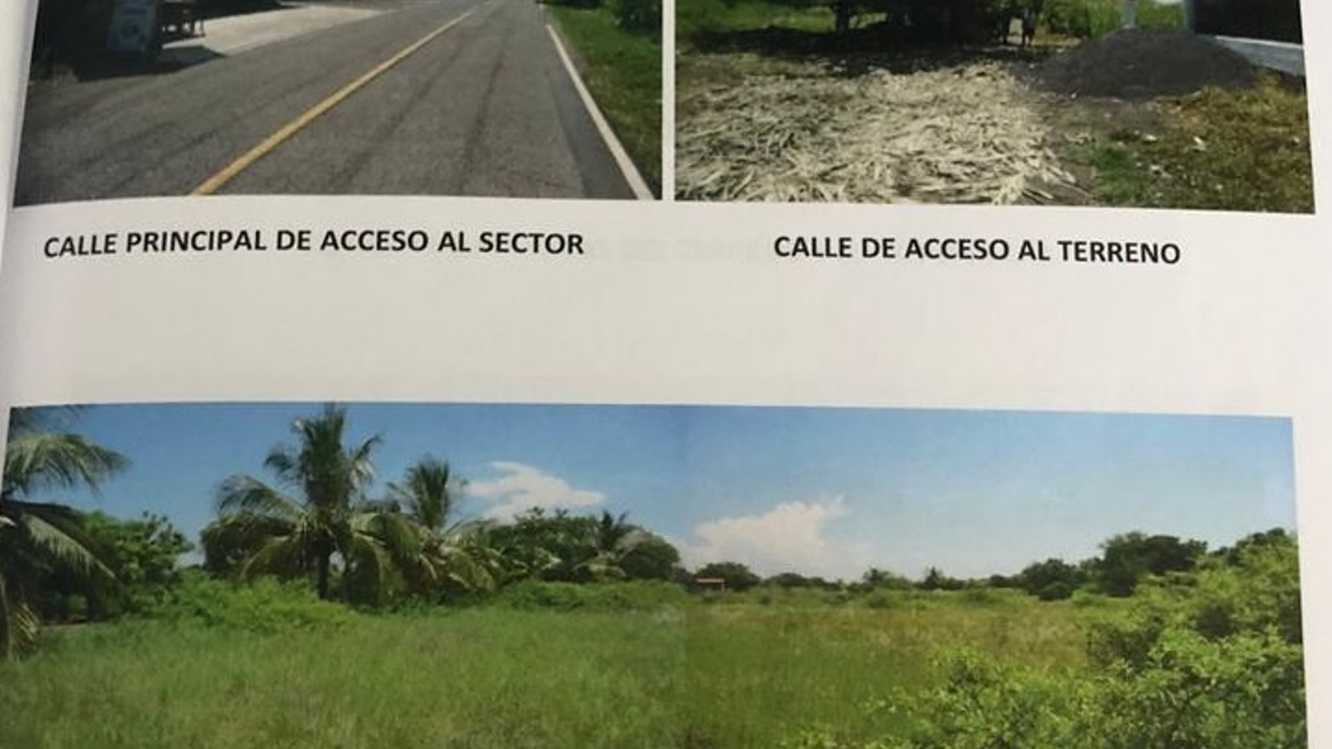 Terreno en venta camino a Monterrico - Miniatura 2