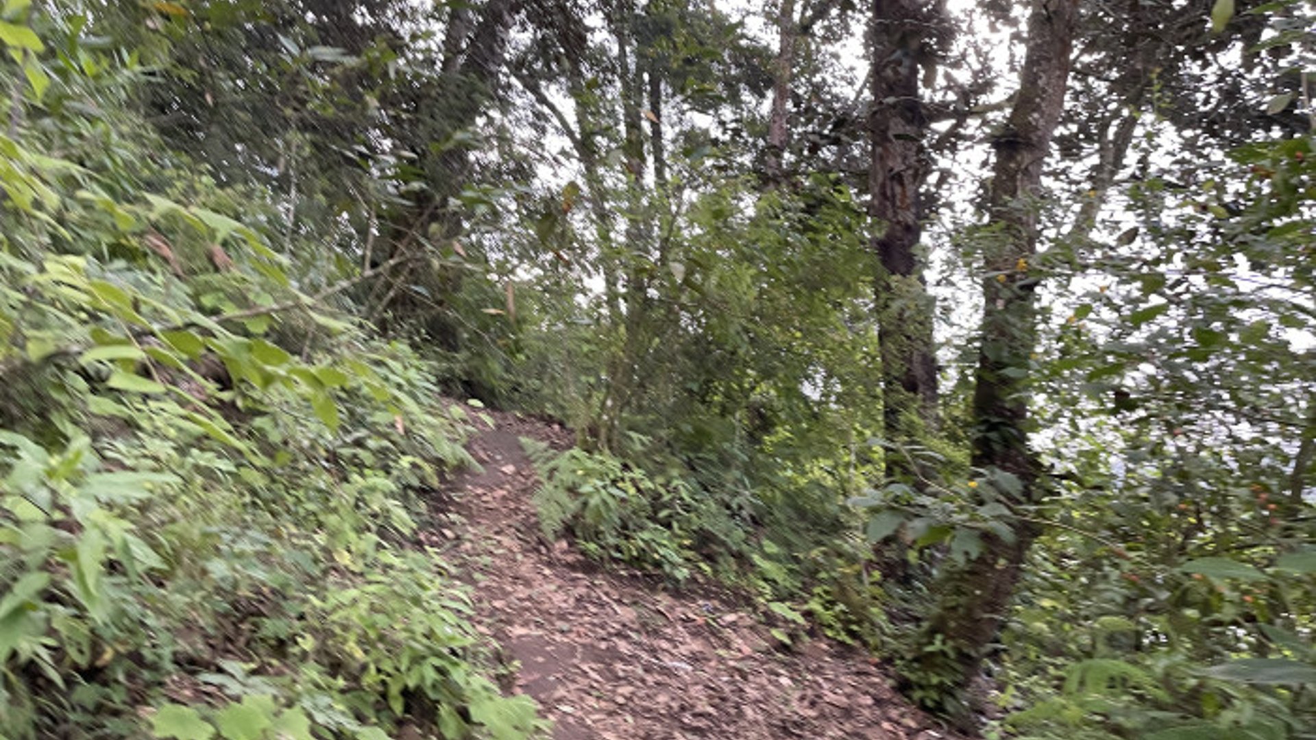 Terreno en venta en Aldea Chichorin San Lucas - Miniatura 14