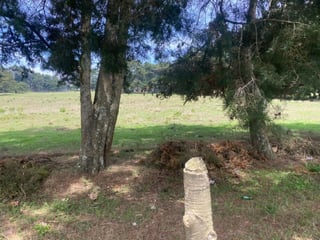 venta de terreno en carretera a el salvador - 2