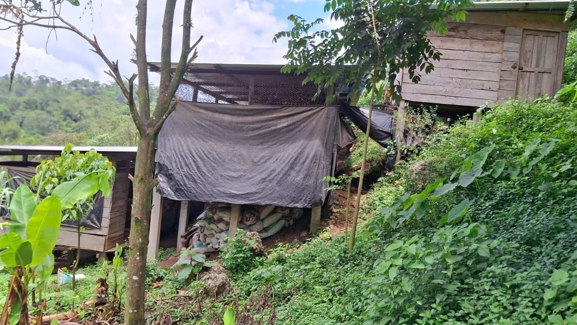 Granja en Venta en Cobán, Alta Verapaz  - Miniatura 8