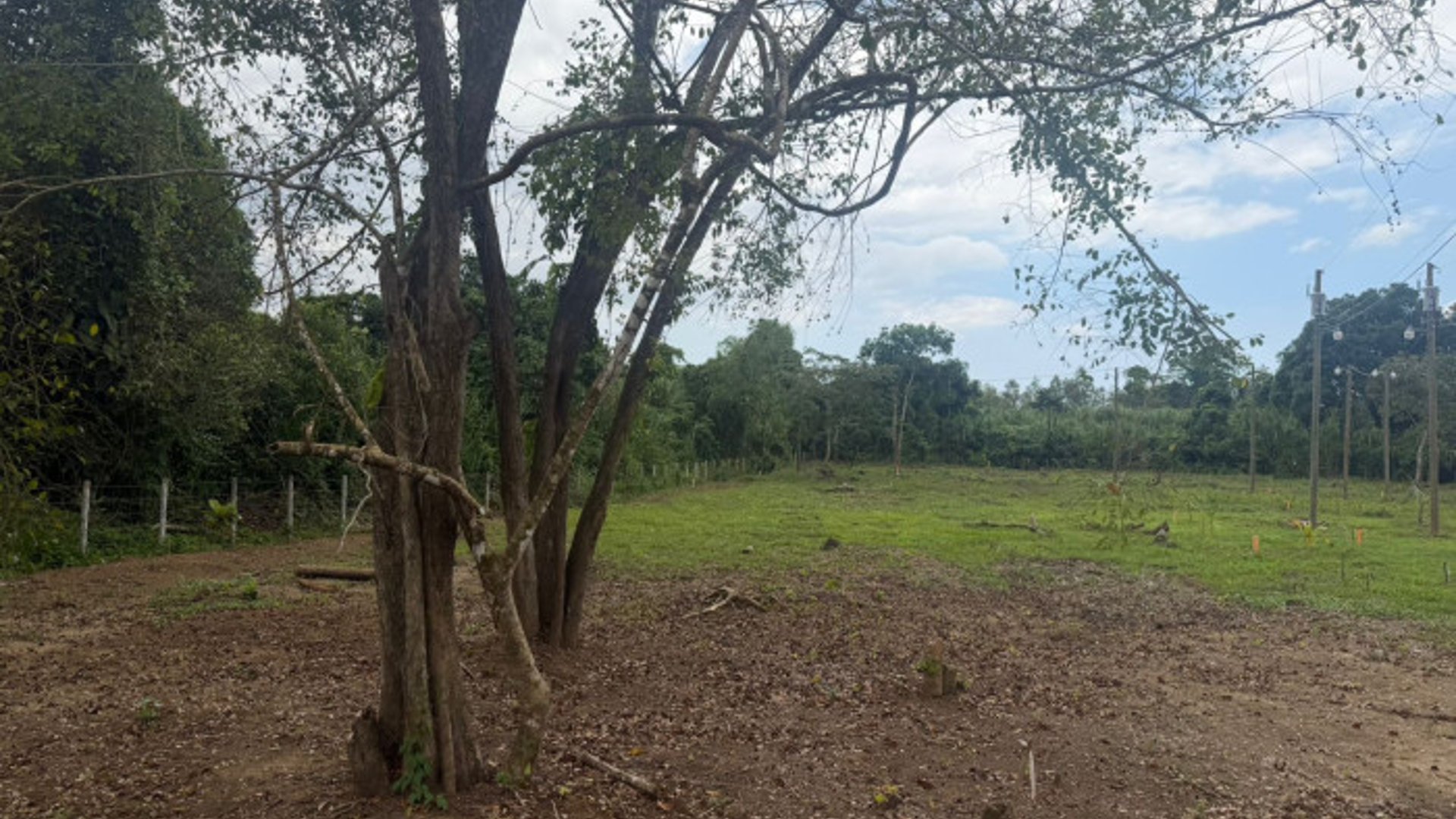 lote vacacional en venta en Rio Dulce - Miniatura 8