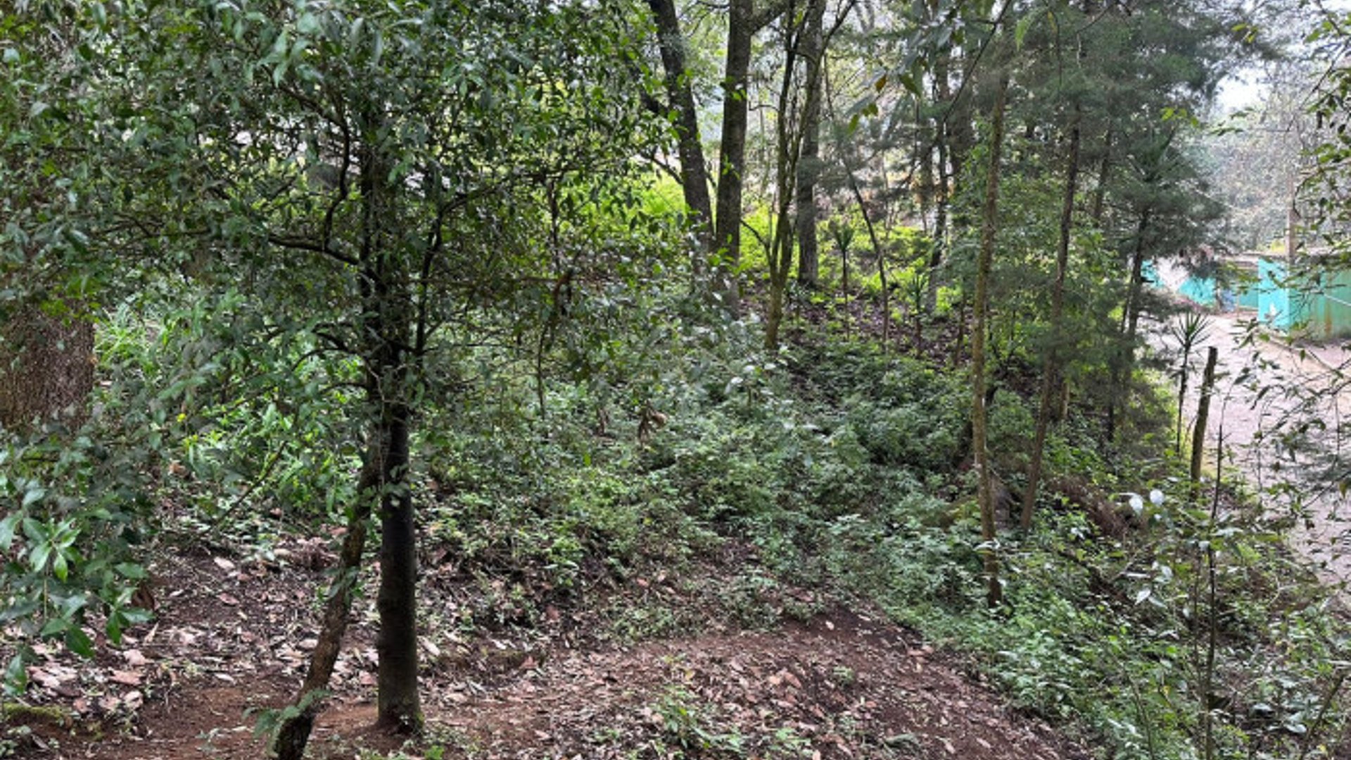 Terreno en Venta en Santa Lucia Milpas Altas - Miniatura 13