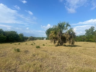 Terreno Comercial frente a carretera a Monterrico - 2