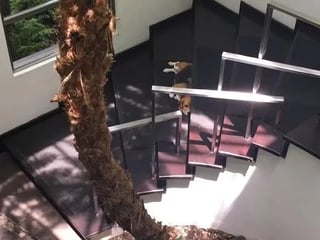 Residencia de Lujo en Venta en Encinos de Cayalá – Zona 16 - Image 12