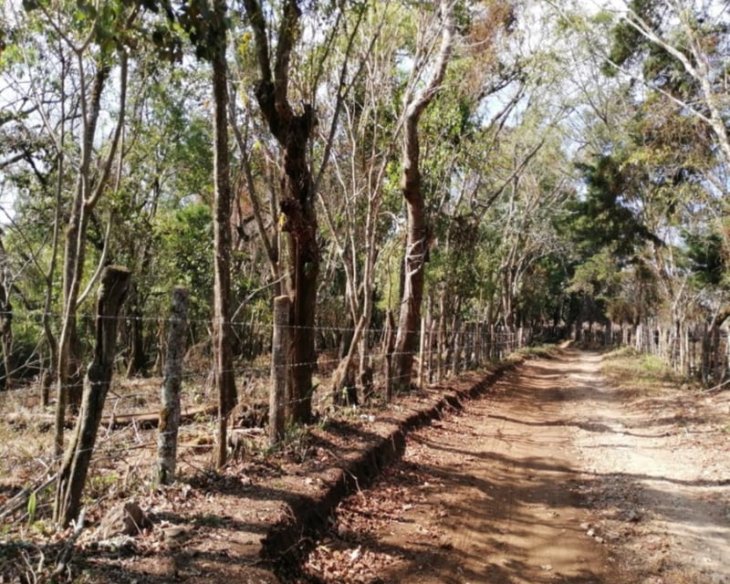 Terreno en Venta en Km 26.5 Carretera a El Salvador, 7.7 Manzanas 